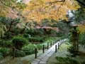tokyo_garden_pond