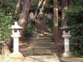 tokyo_garden_stairs